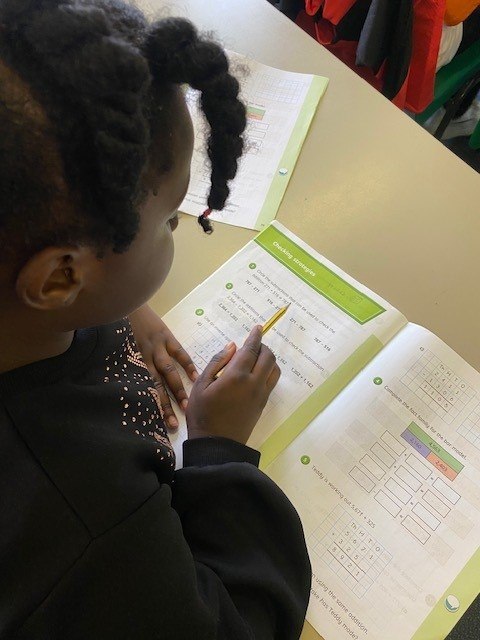 Use of Whiterose scheme of learning in the classroom